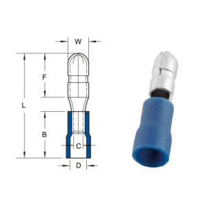 หางปลาเสียบกลมตัวผู้