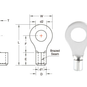 หางปลากลมเปลือย