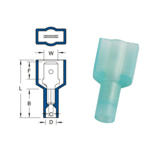 หางปลาเสียบแบนตัวผู้เหลี่ยมแบบใส